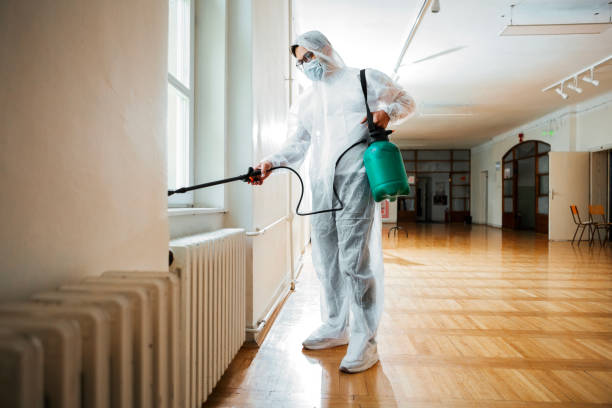 Best Bed Bug Extermination  in New Berlinville, PA